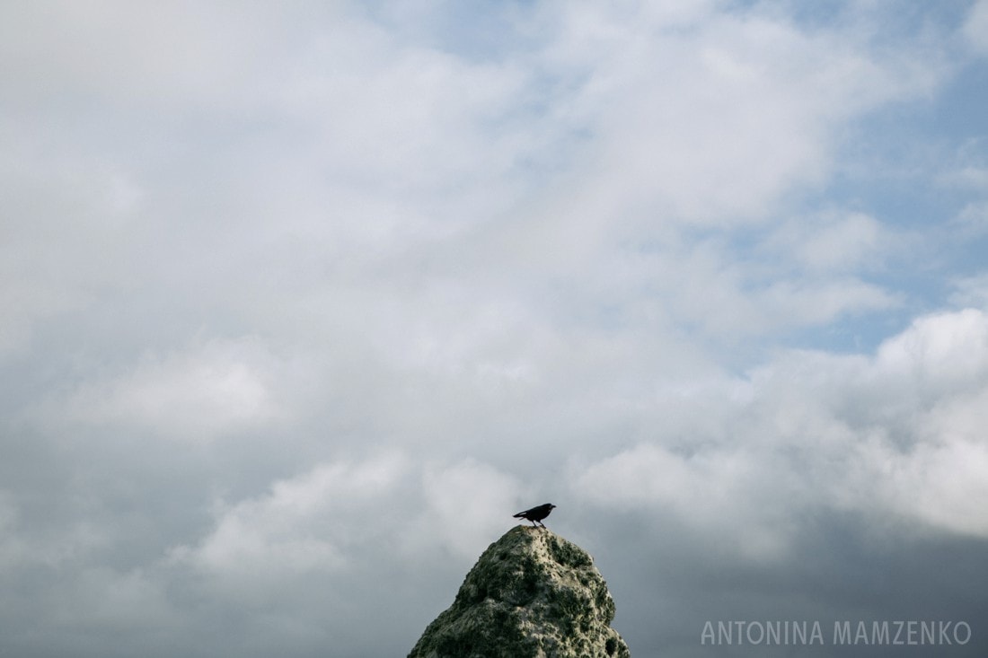 crow sitting on the top of the heelstone at stonehenge