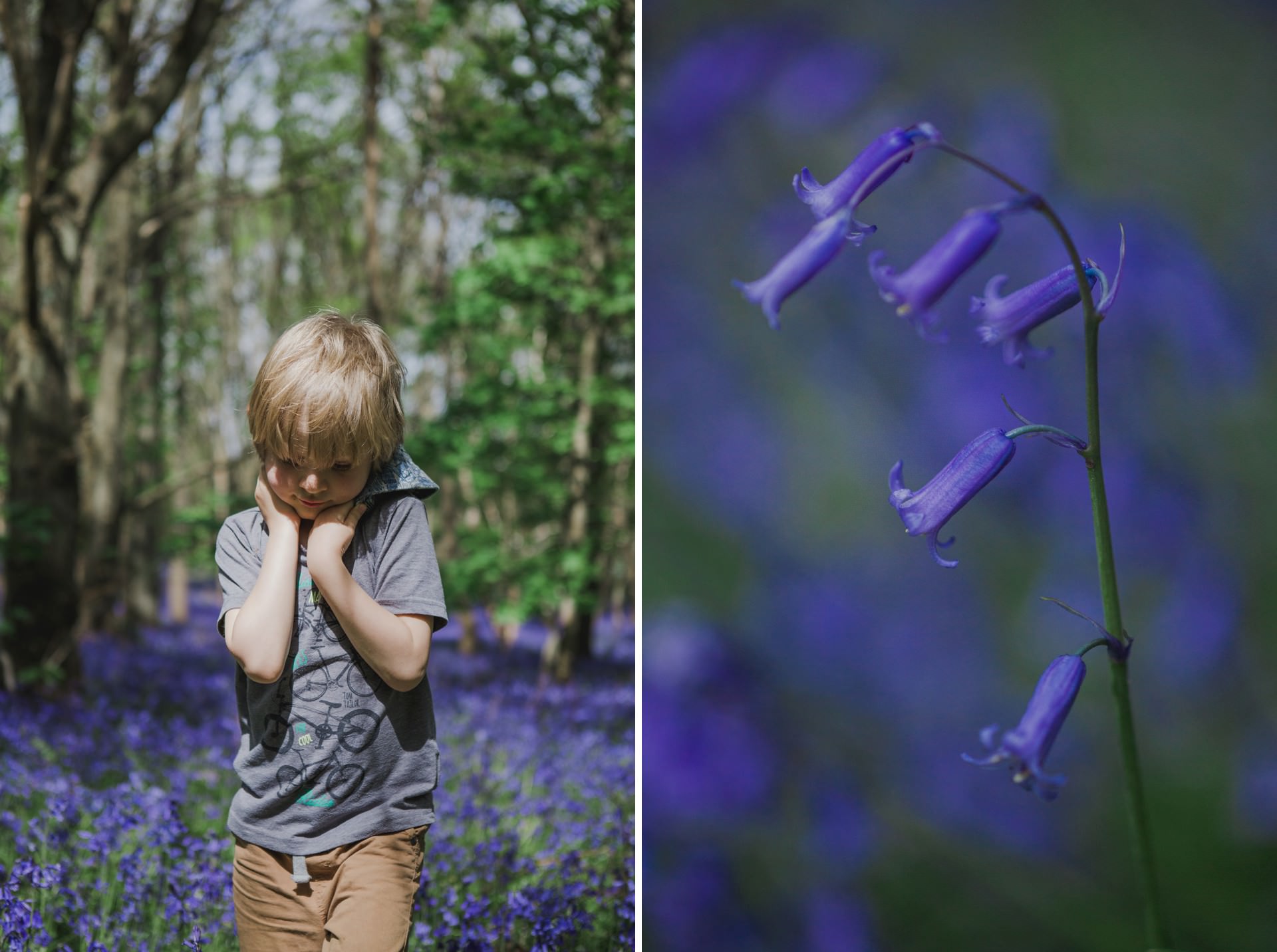 child standing in bluebell forest